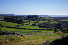 SG-agricola-sbarbara_0222-12