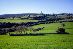 SG-agricola-sbarbara_0222-39