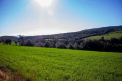 SG-agricola-sbarbara_0222-45