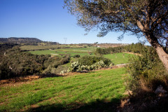 SG-agricola-sbarbara_0222-47