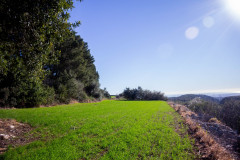 SG-agricola-sbarbara_0222-54