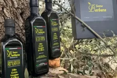 agricola_santa_barbara_olio_di_oliva_001