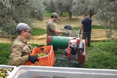 azienda_agricola_santa_barbara_siracusa_017
