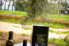 azienda_agricola_santa_barbara_siracusa_53