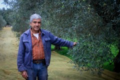 azienda_agricola_santa_barbara_siracusa_56