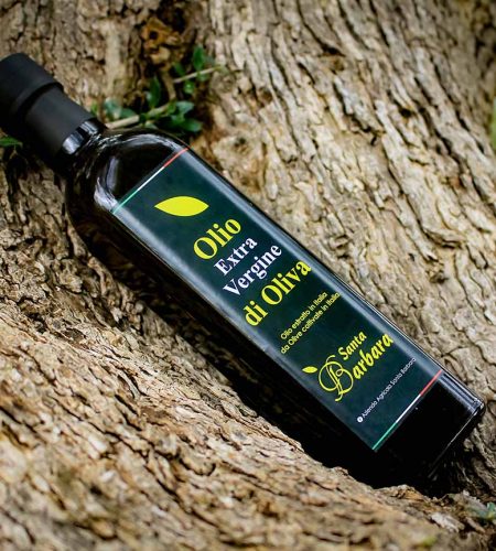 SG_azienda_agricola_santa_barbara_siracusa_olio_bottiglia